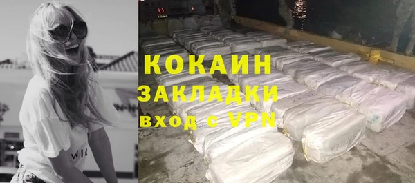 индика Армянск