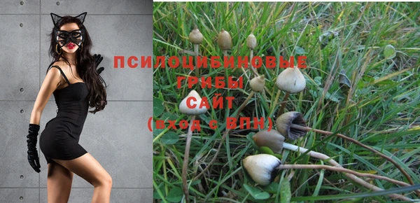 прущий лед Арсеньев
