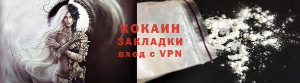 индика Армянск