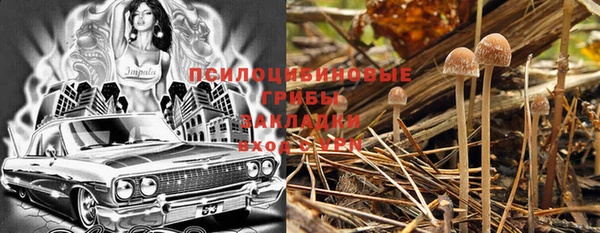 индика Армянск
