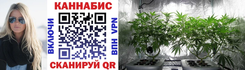 Бошки марихуана VHQ  Зубцов 